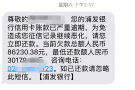 仙桃融资清欠服务